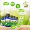 Back To Beginnings Essential Oil Info 04