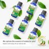 Back To Beginnings Essential Oil Info 05