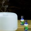 Back To Beginnings Essential Oil Diffusers