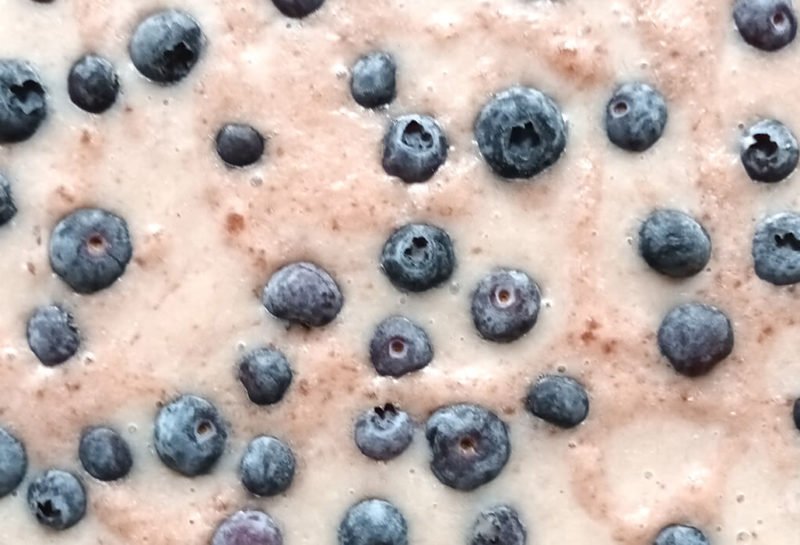 anil grover cashew yoghurt blueberry bark close up